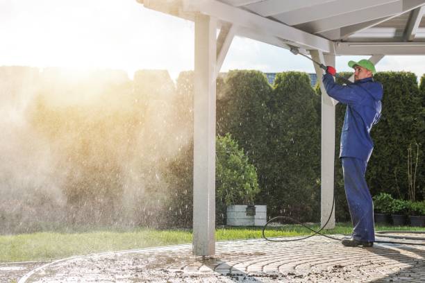 Best Sidewalk and Walkway Cleaning  in Coldwater, MI